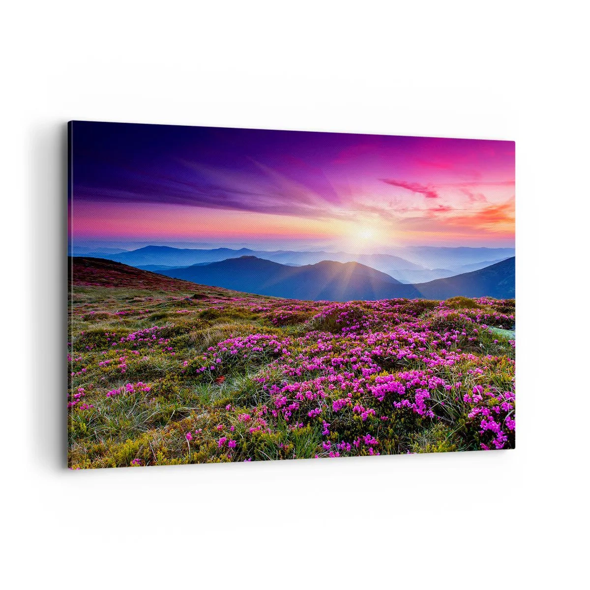 Cuadro sobre lienzo - Impresión de Imagen - Prado de montaña con flores al atardecer - 100x70cm - Dulce aroma a frescura - Decoración de pared moderna para salón y dormitorio ARTTOR