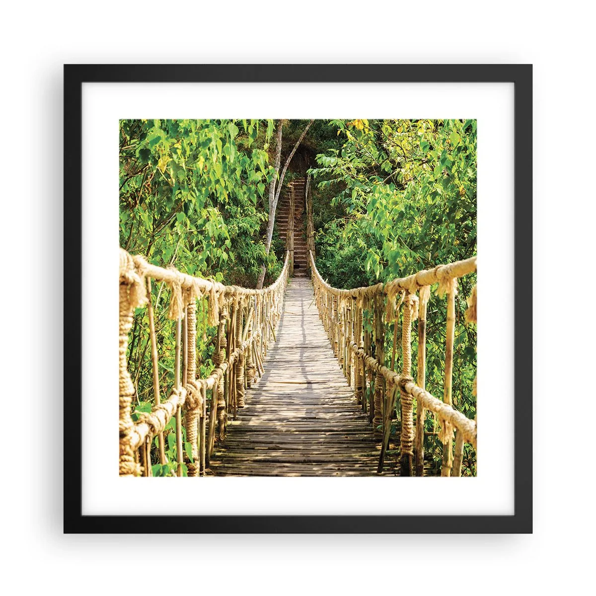 Póster en marco negro - Suspendido en verde - 40x40 cm