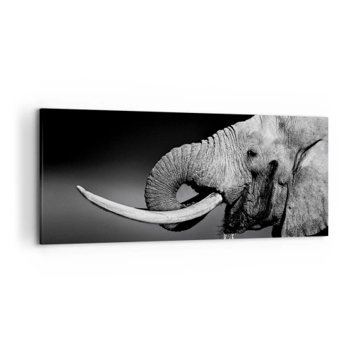 Cuadro sobre lienzo - Impresión de Imagen - Retrato en blanco y negro de un elefante de perfil. - 120x50cm - Majestuoso - Decoración de pared moderna para salón y dormitorio ARTTOR