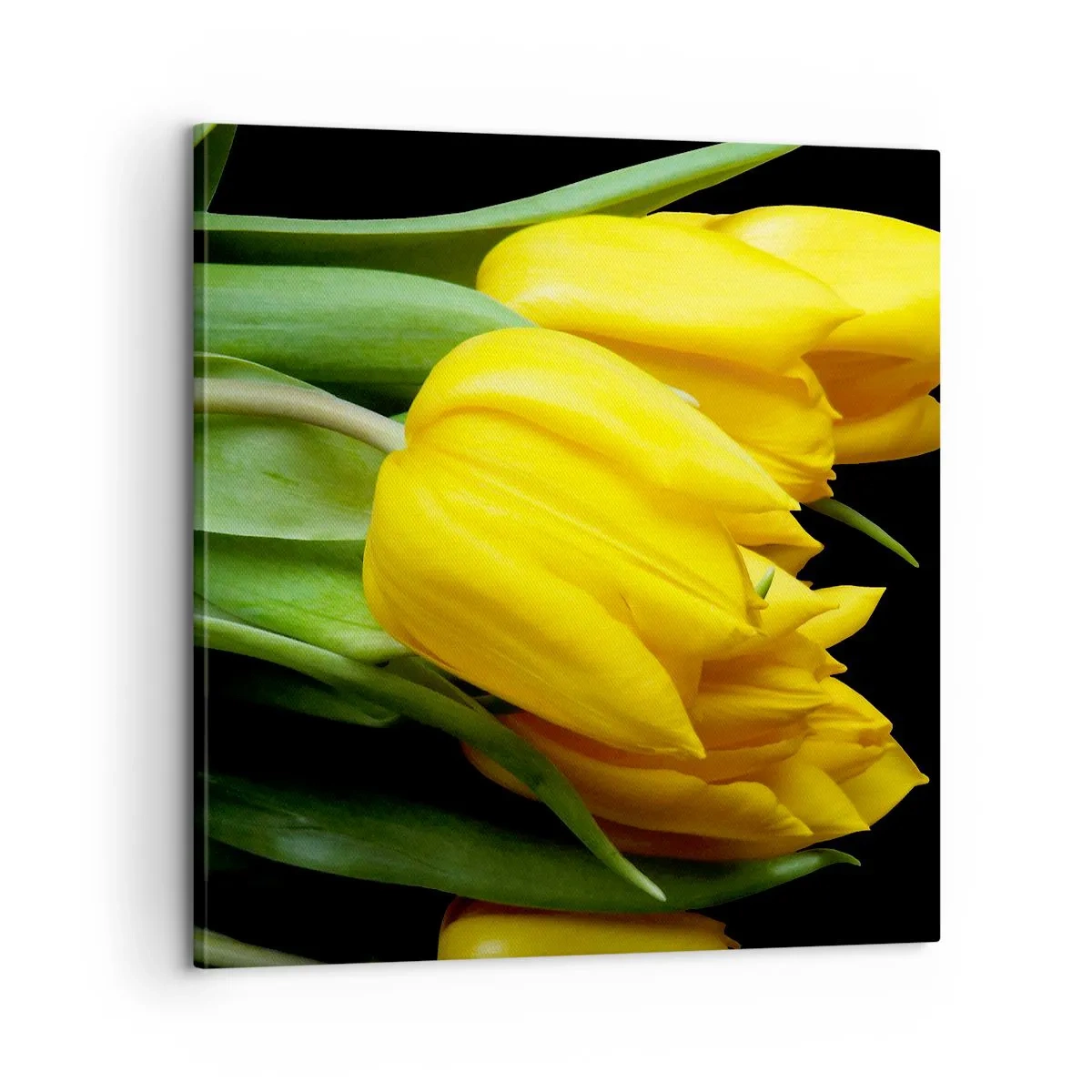 Cuadro sobre lienzo - Impresión de Imagen - Resucitado de puro sol - 60x60 cm