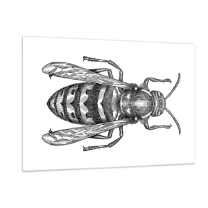 Cuadro sobre vidrio - Impresiones sobre Vidrio - Ilustración retro en blanco y negro de una avispa sobre un fondo blanco. - 120x80cm - Desde un planeta de insectos - Decoración de pared moderna para salón y dormitorio ARTTOR