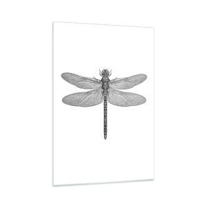Cuadro sobre vidrio - Impresiones sobre Vidrio - Dibujo en blanco y negro de una libélula sobre un fondo blanco en estilo minimalista. - 70x100cm - Precisión de la naturaleza - Decoración de pared moderna para salón y dormitorio ARTTOR