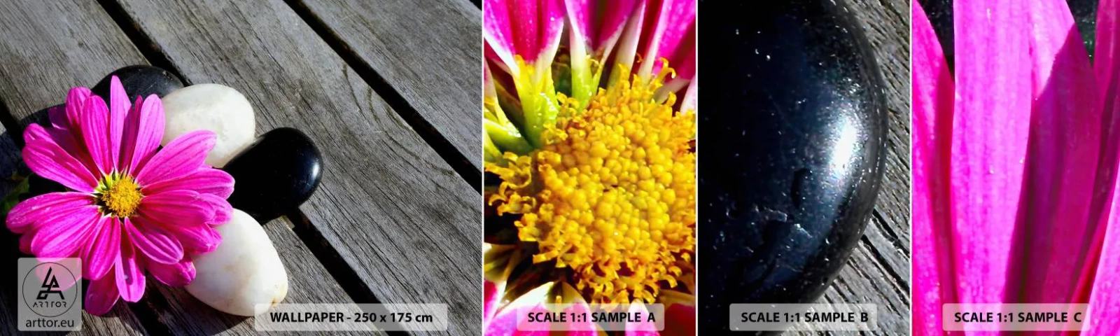 Muestra De Fotomural Standard Eco - Descansando en el muelle - Flor, piedras, Puente de madera - 100x30 cm