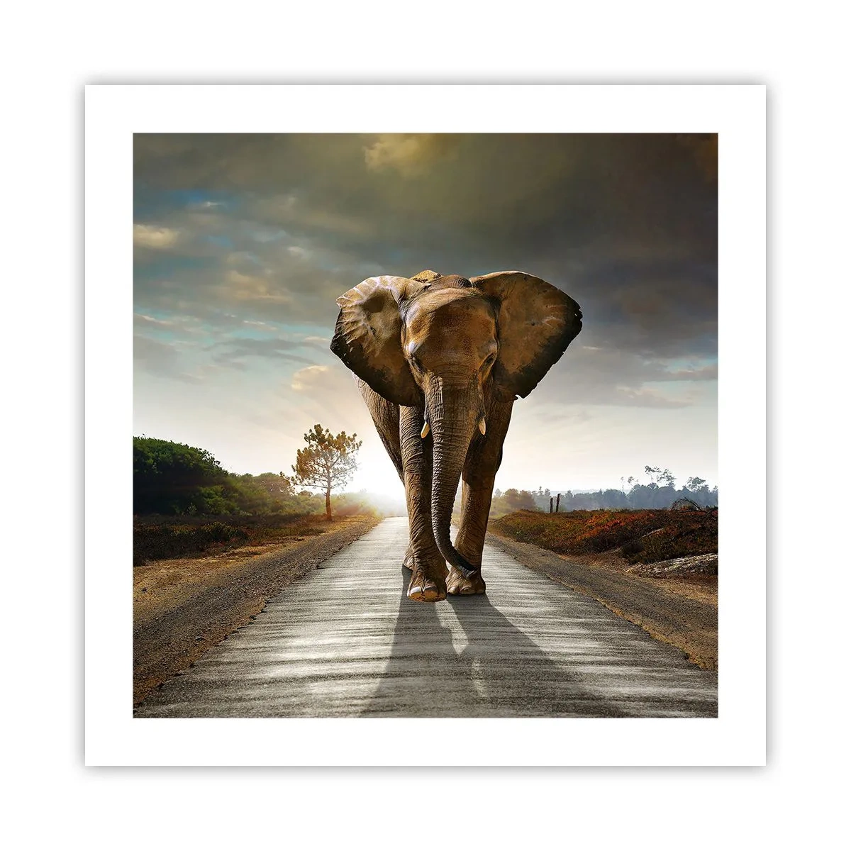 Póster - Y para nada en un almacén de porcelana - 50x50 cm