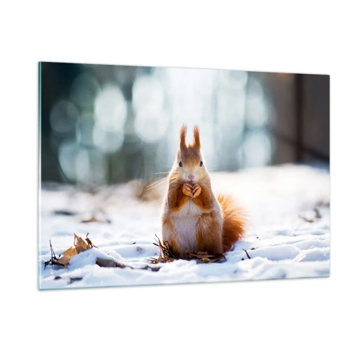 Cuadro sobre vidrio - Impresiones sobre Vidrio - Ardilla en la nieve con una nuez en el bosque invernal. - 120x80cm - ¿Qué estás mirando? - Decoración de pared moderna para salón y dormitorio ARTTOR