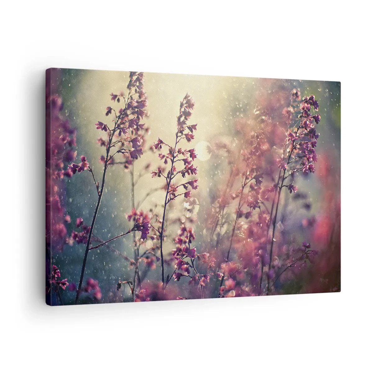 Cuadro sobre lienzo - Impresión de Imagen - Flores a la luz del sol con la naturaleza como telón de fondo - 70x50cm - Jardín secreto - Decoración de pared moderna para salón y dormitorio ARTTOR