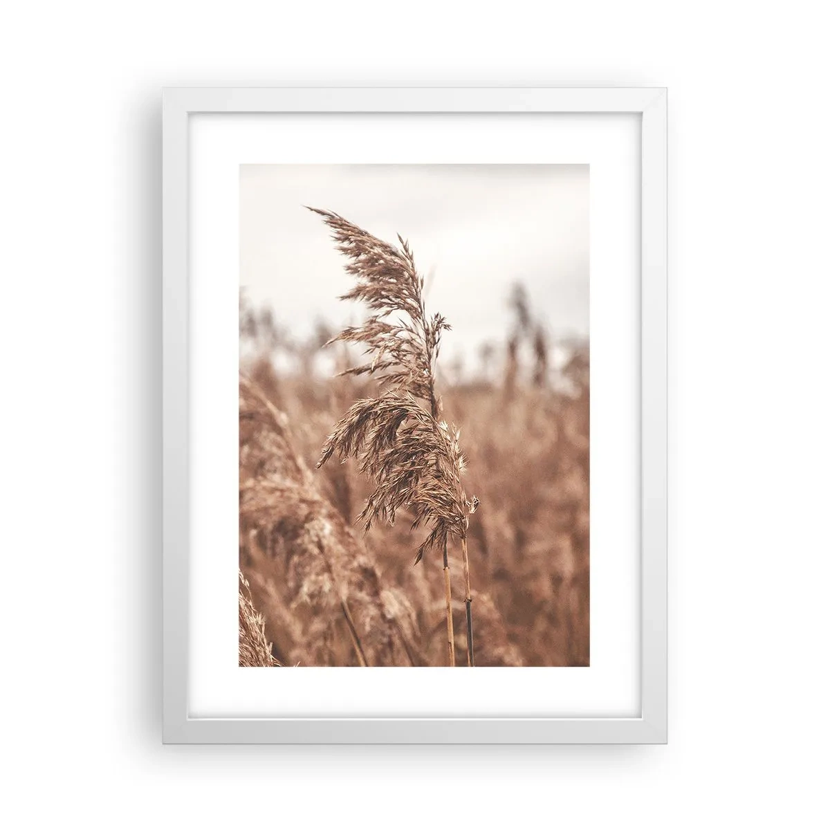 Póster en marco blanco - El otoño ya está en los campos - 30x40 cm