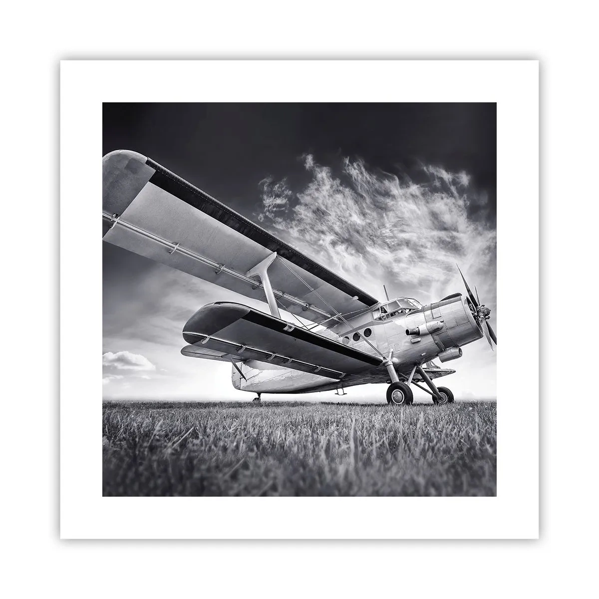 Póster - El vagamundo alado - 40x40 cm