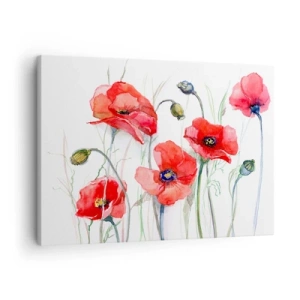 Cuadro sobre lienzo - Impresión de Imagen - Amapolas de acuarela sobre un fondo delicado - 70x50cm - Flores polacas - Decoración de pared moderna para salón y dormitorio ARTTOR