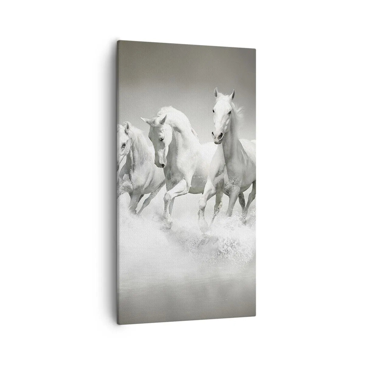 Cuadro sobre lienzo - Impresión de Imagen - Locura blanca - 55x100 cm