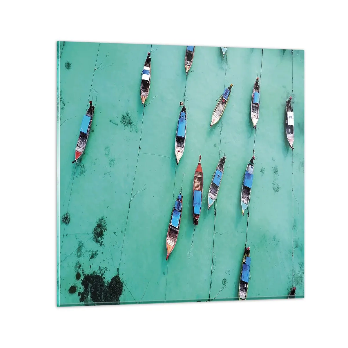 Cuadro sobre vidrio - Impresiones sobre Vidrio - En alegre espera - 60x60 cm