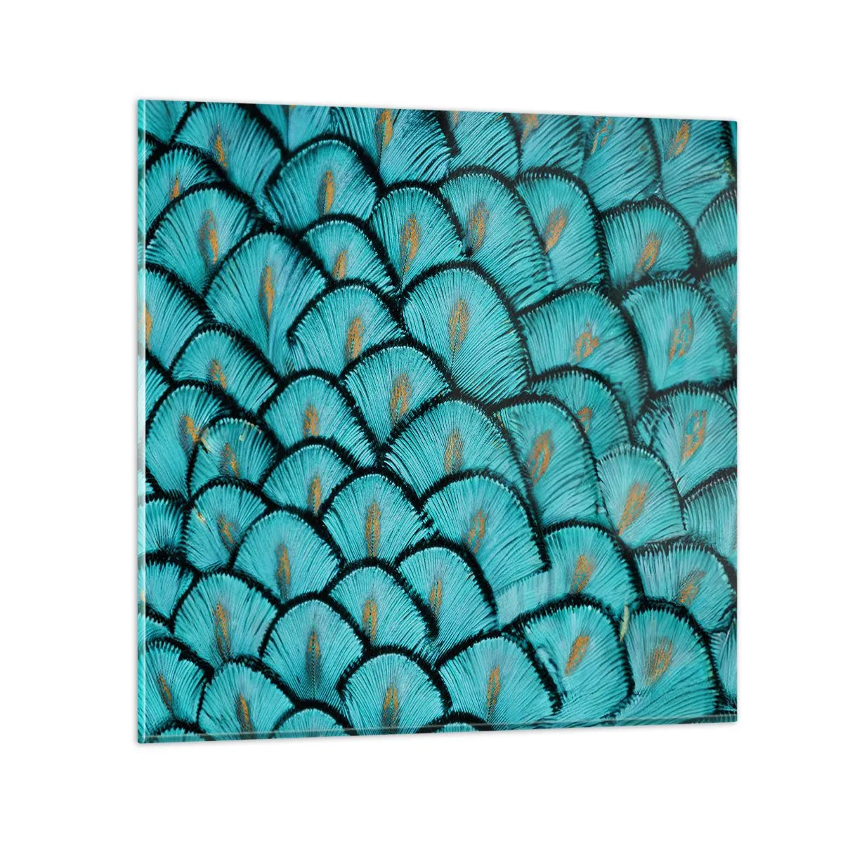 Cuadro sobre vidrio - Impresiones sobre Vidrio - La gran gala de las plumas - 30x30 cm