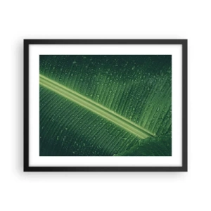 Póster en marco negro - Estructura del verde - 50x40 cm