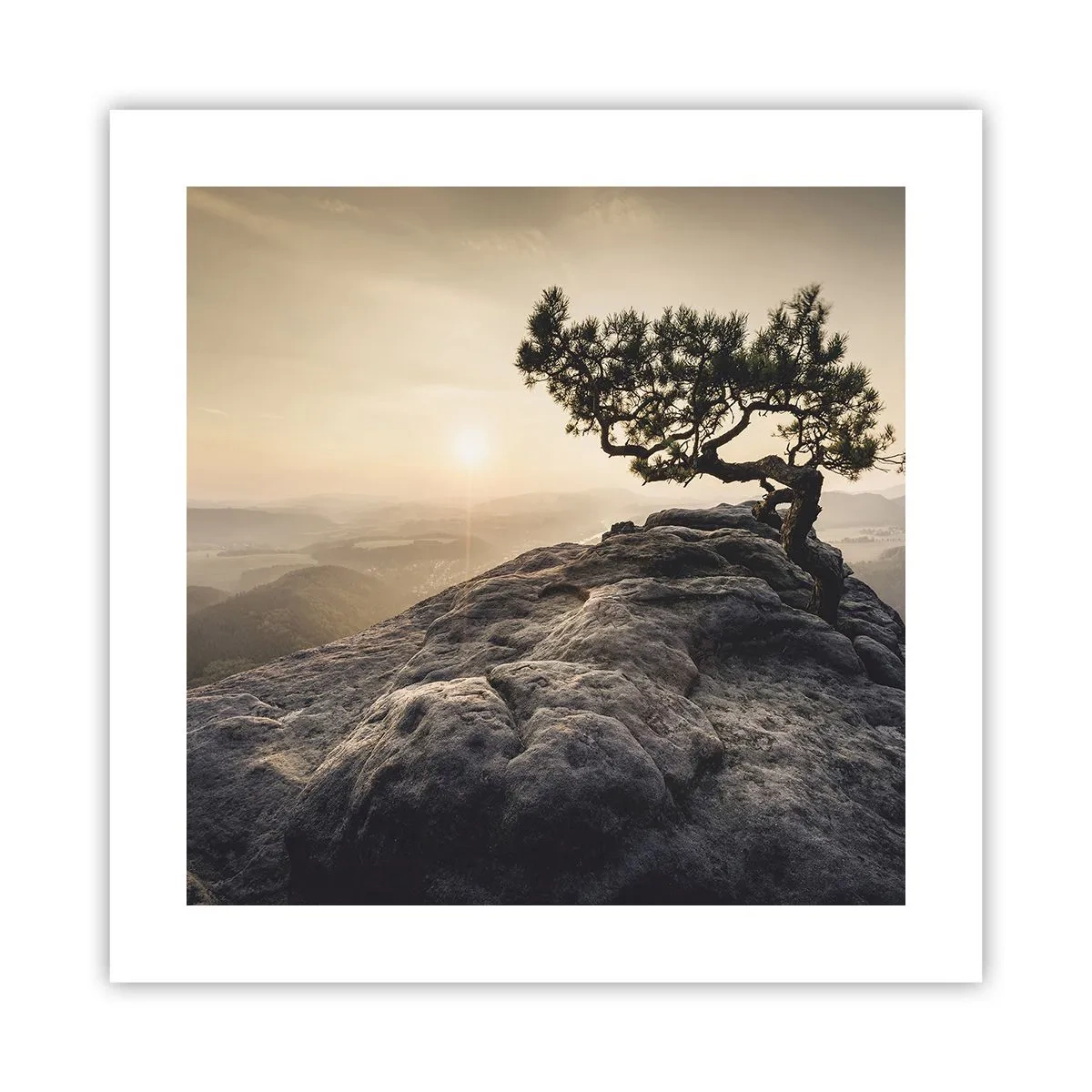 Póster - La vida se abre camino - 40x40 cm