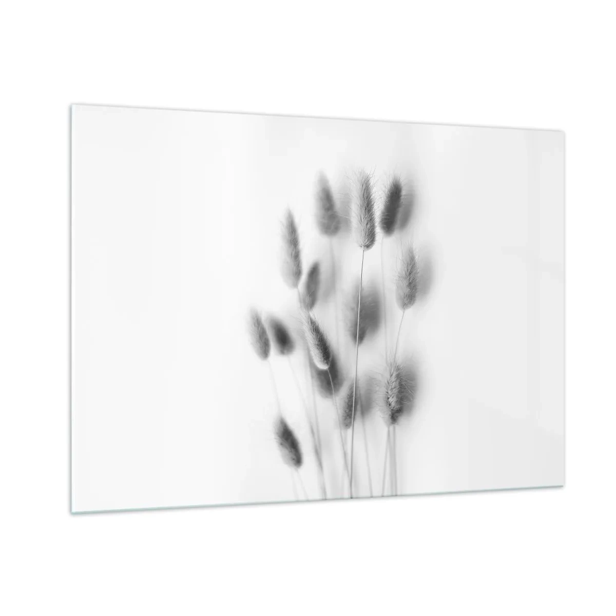 Cuadro sobre vidrio - Impresiones sobre Vidrio - Espigas de hierba en blanco y negro sobre un fondo claro en un estilo minimalista. - 100x70cm - Esponjas naturales - Decoración de pared moderna para salón y dormitorio ARTTOR