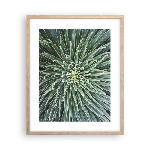 Póster en marco roble claro - El nacimiento de una estrella - 40x50 cm