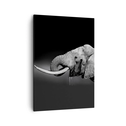 Cuadro sobre lienzo - Impresión de Imagen - Retrato en blanco y negro de un elefante de perfil. - 50x70cm - Majestuoso - Decoración de pared moderna para salón y dormitorio ARTTOR