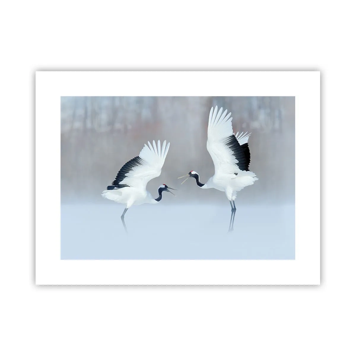 Póster - Danza en la niebla - 40x30 cm