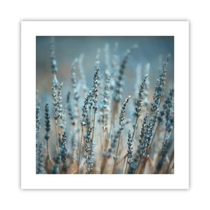 Póster - Fragante pasto - 40x40 cm