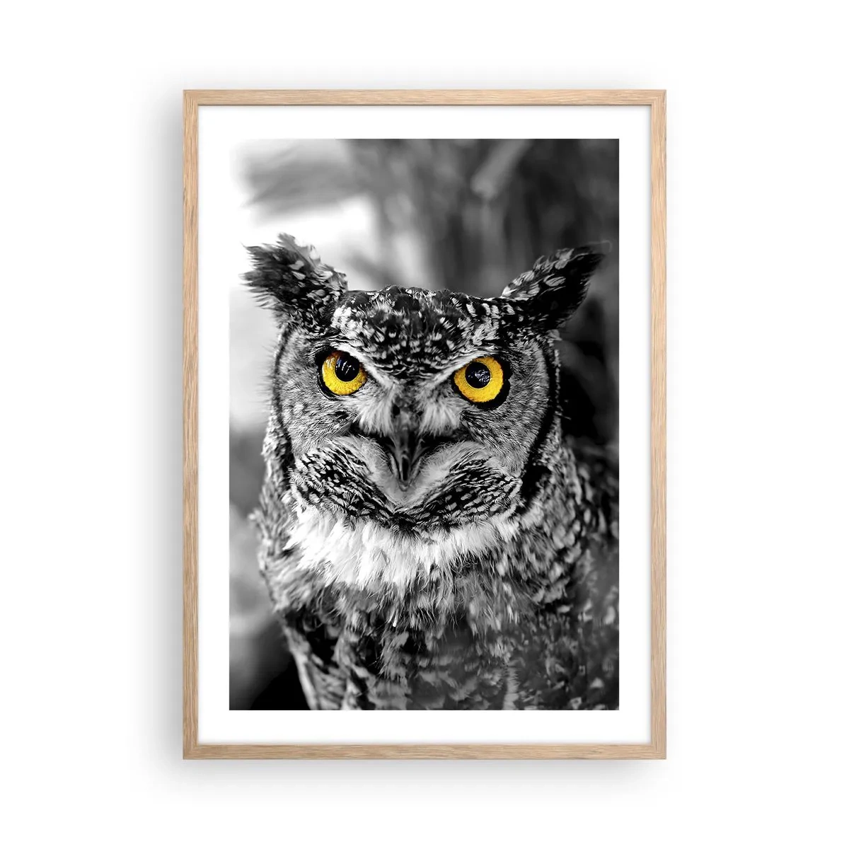 Póster en marco roble claro - Nada se puede ocultar - 50x70 cm