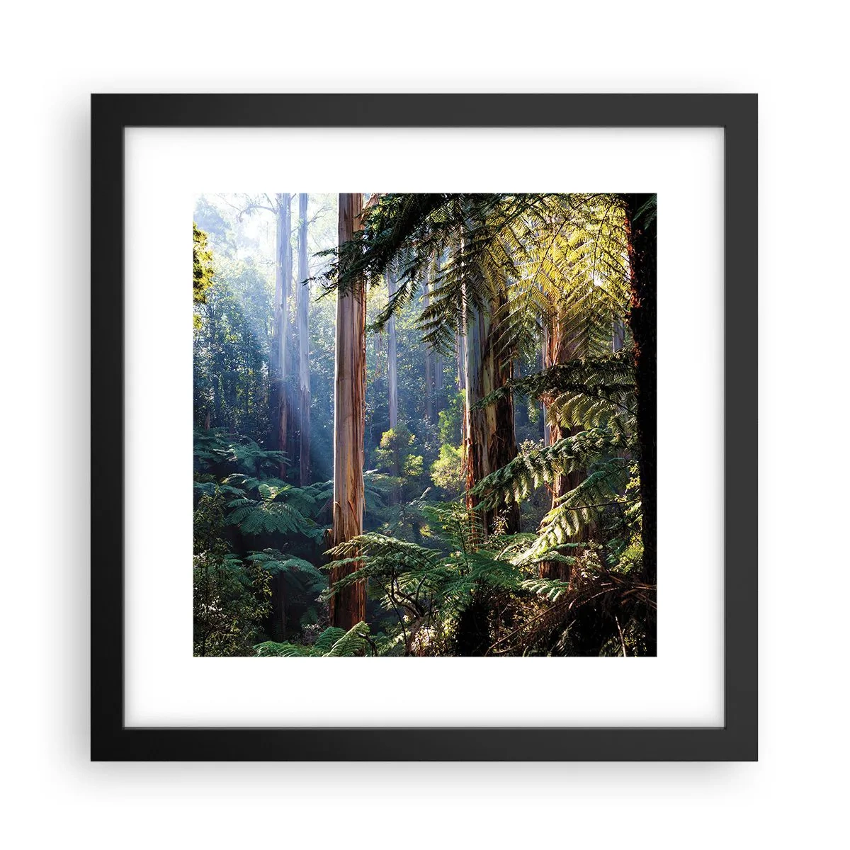 Póster en marco negro - Un cuento de hadas del bosque - 30x30 cm