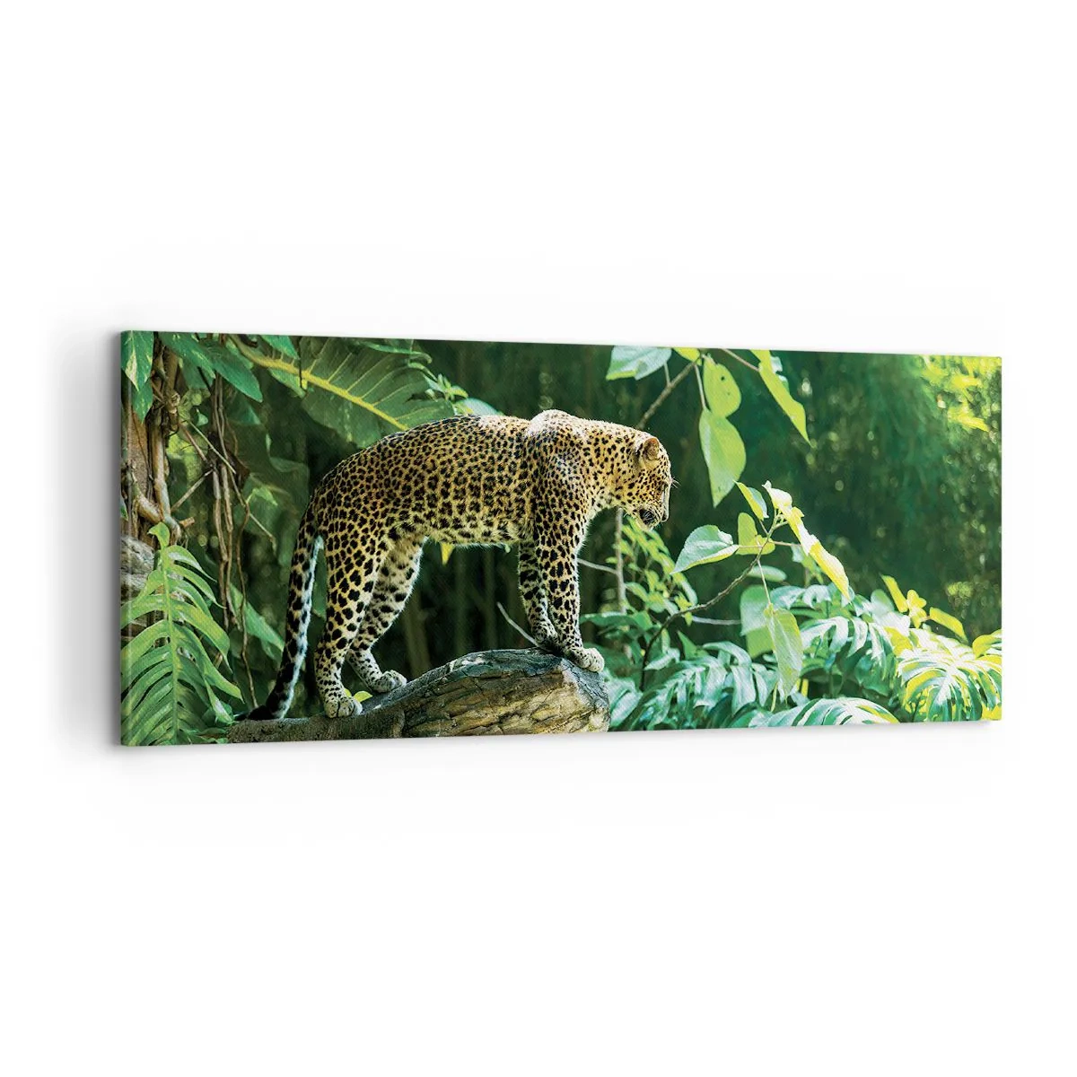 Cuadro sobre lienzo - Impresión de Imagen - ¿A la caza? - 100x40 cm