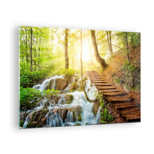 Cuadro sobre vidrio - Impresiones sobre Vidrio - Una cascada forestal con un camino de madera iluminado por la luz del sol. - 70x50cm - El ansiado frescor - Decoración de pared moderna para salón y dormitorio ARTTOR