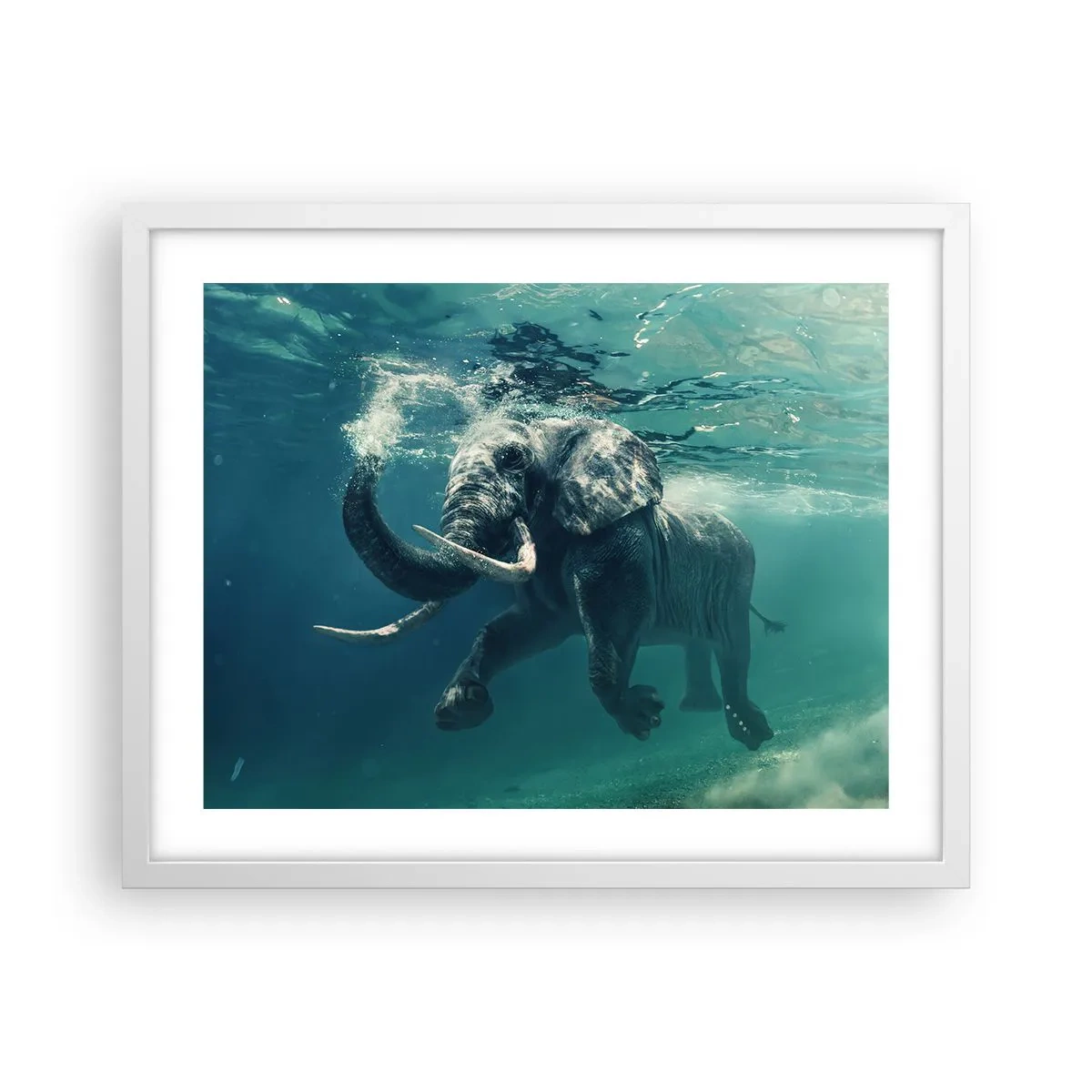 Póster en marco blanco - A todos nos gusta nadar - 50x40 cm