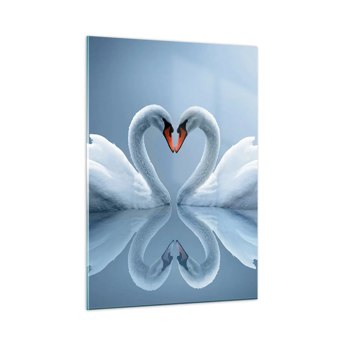 Cuadro sobre vidrio - Impresiones sobre Vidrio - Dos cisnes formando un corazón en la superficie del agua. - 50x70cm - Tiempo de amor - Decoración de pared moderna para salón y dormitorio ARTTOR