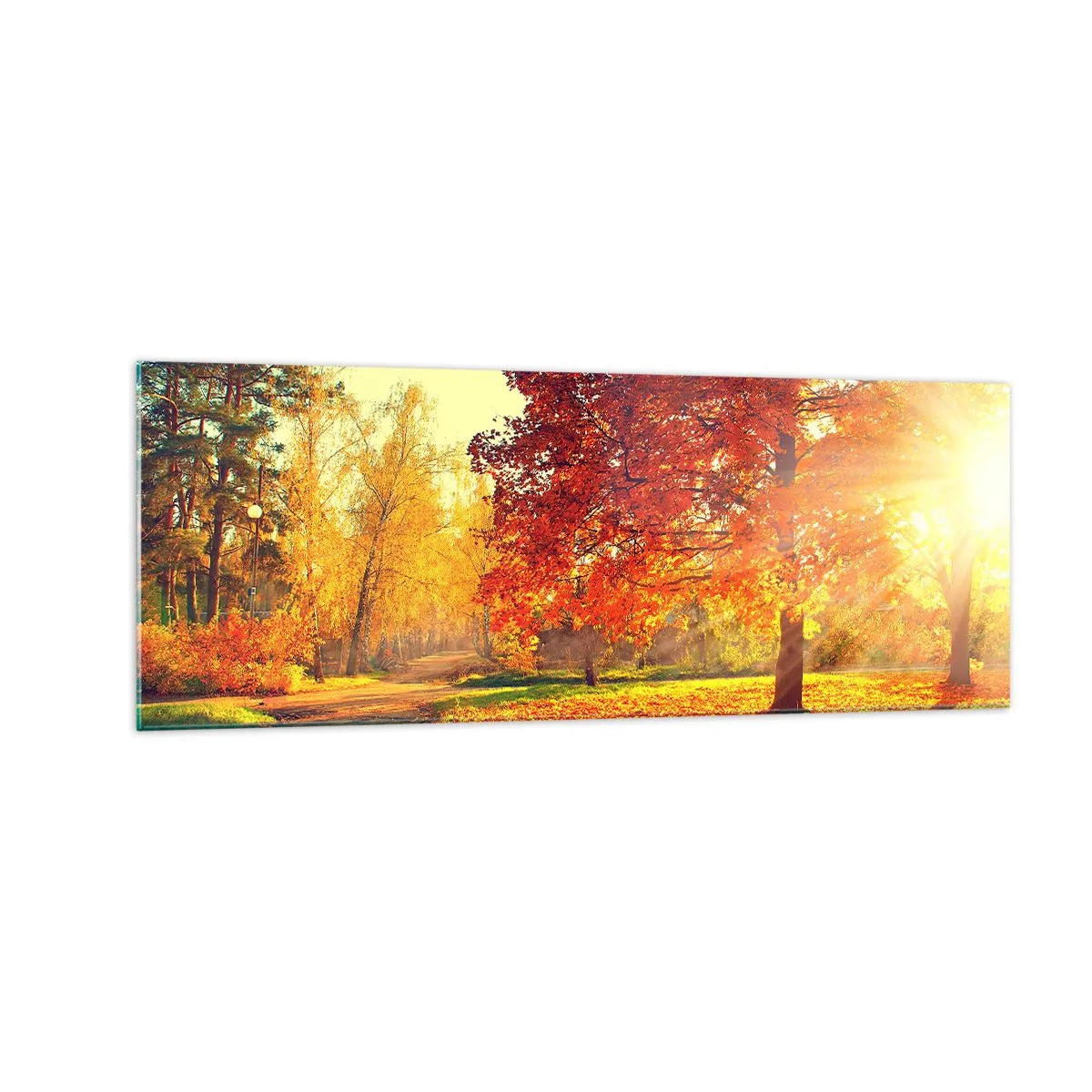 Cuadro sobre vidrio - Impresiones sobre Vidrio - Parque otoñal iluminado por la luz del sol - 140x50cm - El rojo es hermoso - Decoración de pared moderna para salón y dormitorio ARTTOR