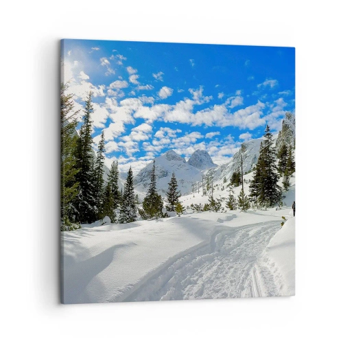 Cuadro sobre lienzo - Impresión de Imagen - Nieve y sol - 50x50 cm