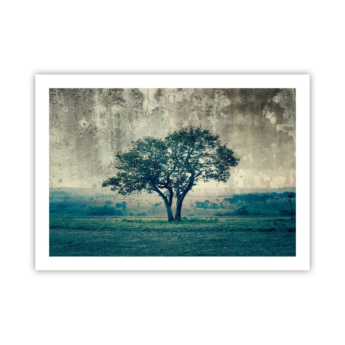 Póster - El manzano - 70x50 cm