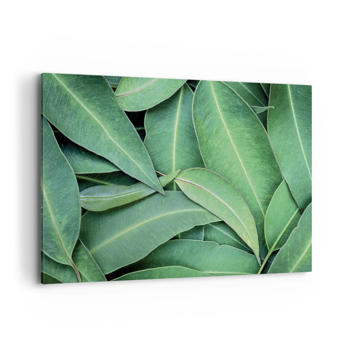 Cuadro sobre lienzo - Impresión de Imagen - Primer plano de hojas verdes que crean un patrón natural. - 100x70cm - Jugosidad y frescura - Decoración de pared moderna para salón y dormitorio ARTTOR