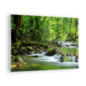 Cuadro sobre vidrio - Impresiones sobre Vidrio - Un arroyo forestal rodeado de exuberante vegetación. - 70x50cm - Flotar en un mar de verde - Decoración de pared moderna para salón y dormitorio ARTTOR