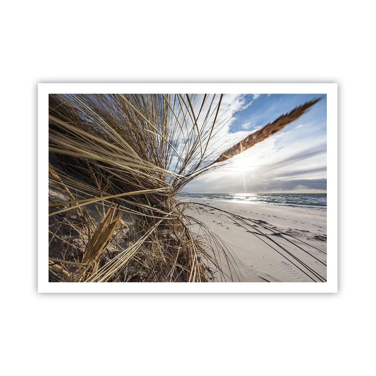 Póster - Una playa con hierba seca en las dunas y vistas al mar. - 100x70cm - Una reunión de los elementos - Decoración de pared moderna para salón y dormitorio ARTTOR