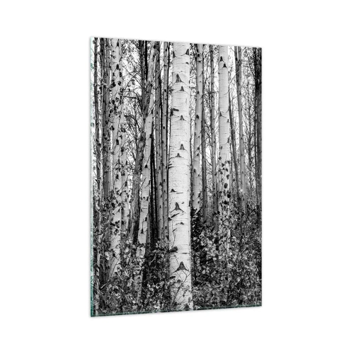 Cuadro sobre vidrio - Impresiones sobre Vidrio - Abedules blancos y negros en el bosque - 80x120cm - Columnas de abedules - Decoración de pared moderna para salón y dormitorio ARTTOR