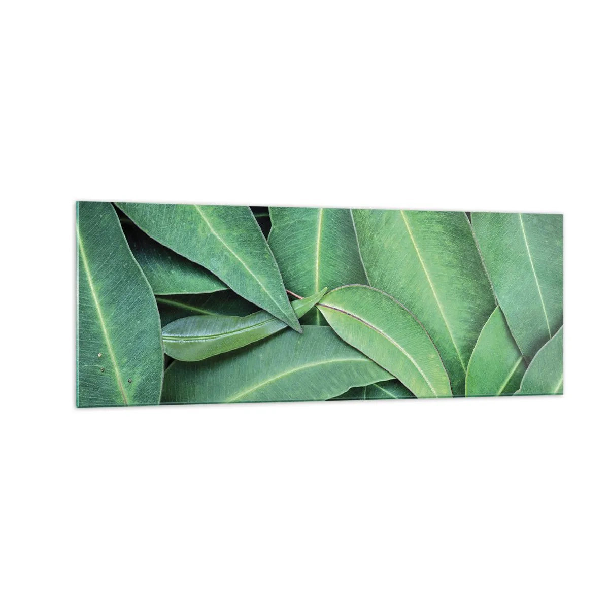 Cuadro sobre vidrio - Impresiones sobre Vidrio - Primer plano de hojas verdes que crean un patrón natural. - 140x50cm - Jugosidad y frescura - Decoración de pared moderna para salón y dormitorio ARTTOR