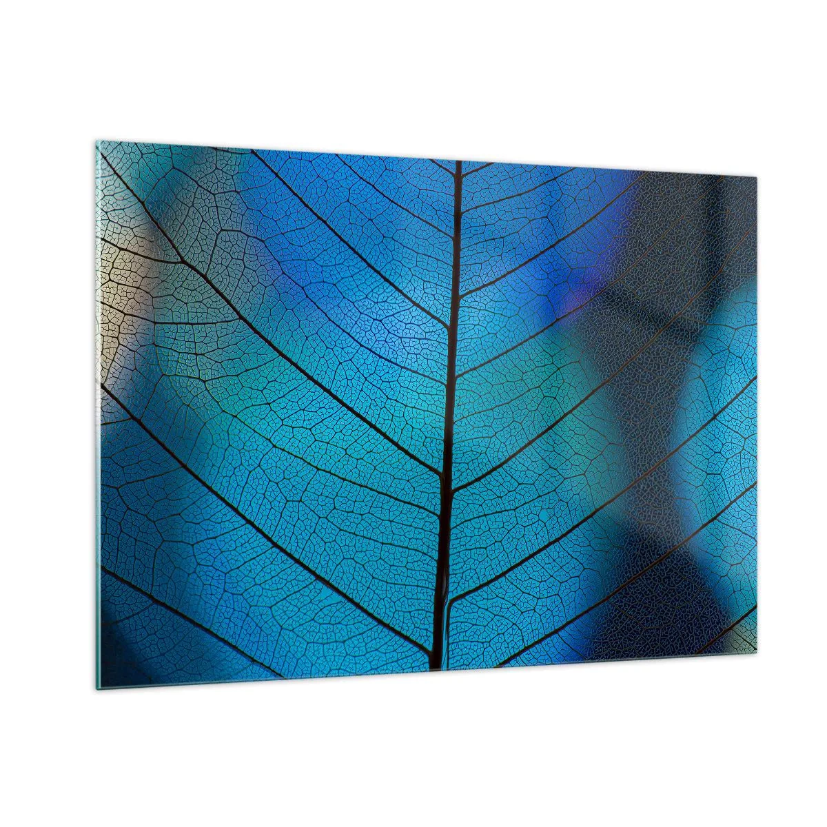 Cuadro sobre vidrio - Impresiones sobre Vidrio - Un primer plano de una hoja azul que muestra la estructura de las nervaduras. - 100x70cm - Construcción intrincada - Decoración de pared moderna para salón y dormitorio ARTTOR