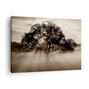 Cuadro sobre lienzo - Impresión de Imagen - Rayos de sol brillando a través de un árbol solitario. - 70x50cm - Un árbol de buenas noticias  - Decoración de pared moderna para salón y dormitorio ARTTOR
