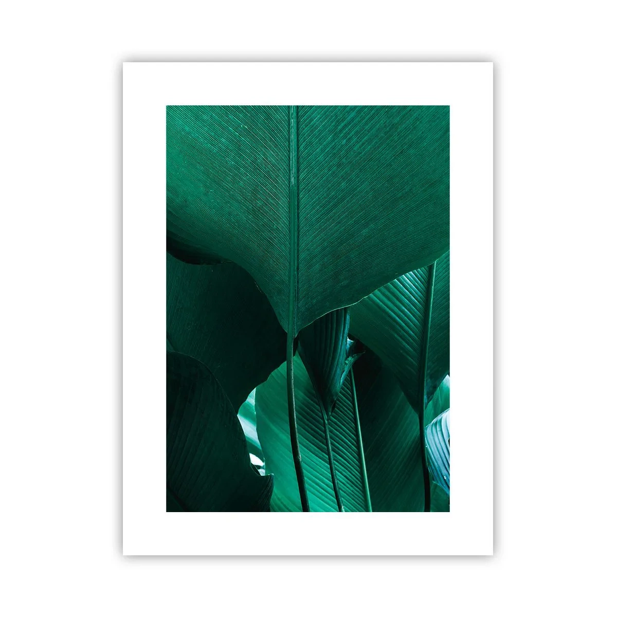 Póster - De cara a la luz - 30x40 cm