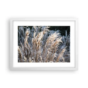 Póster en marco blanco - Campos y campos - 40x30 cm