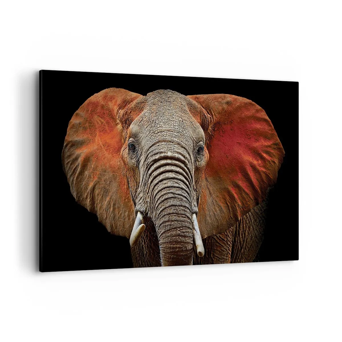 Cuadro sobre lienzo - Impresión de Imagen - Retrato de un elefante sobre fondo negro - 120x80cm - Soy salvaje, ¿y tú? - Decoración de pared moderna para salón y dormitorio ARTTOR