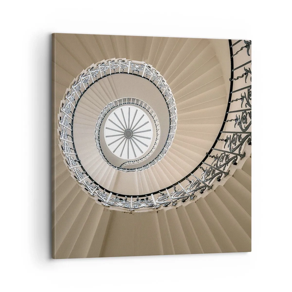 Cuadro sobre lienzo - Impresión de Imagen - En el interior de una concha - 60x60 cm