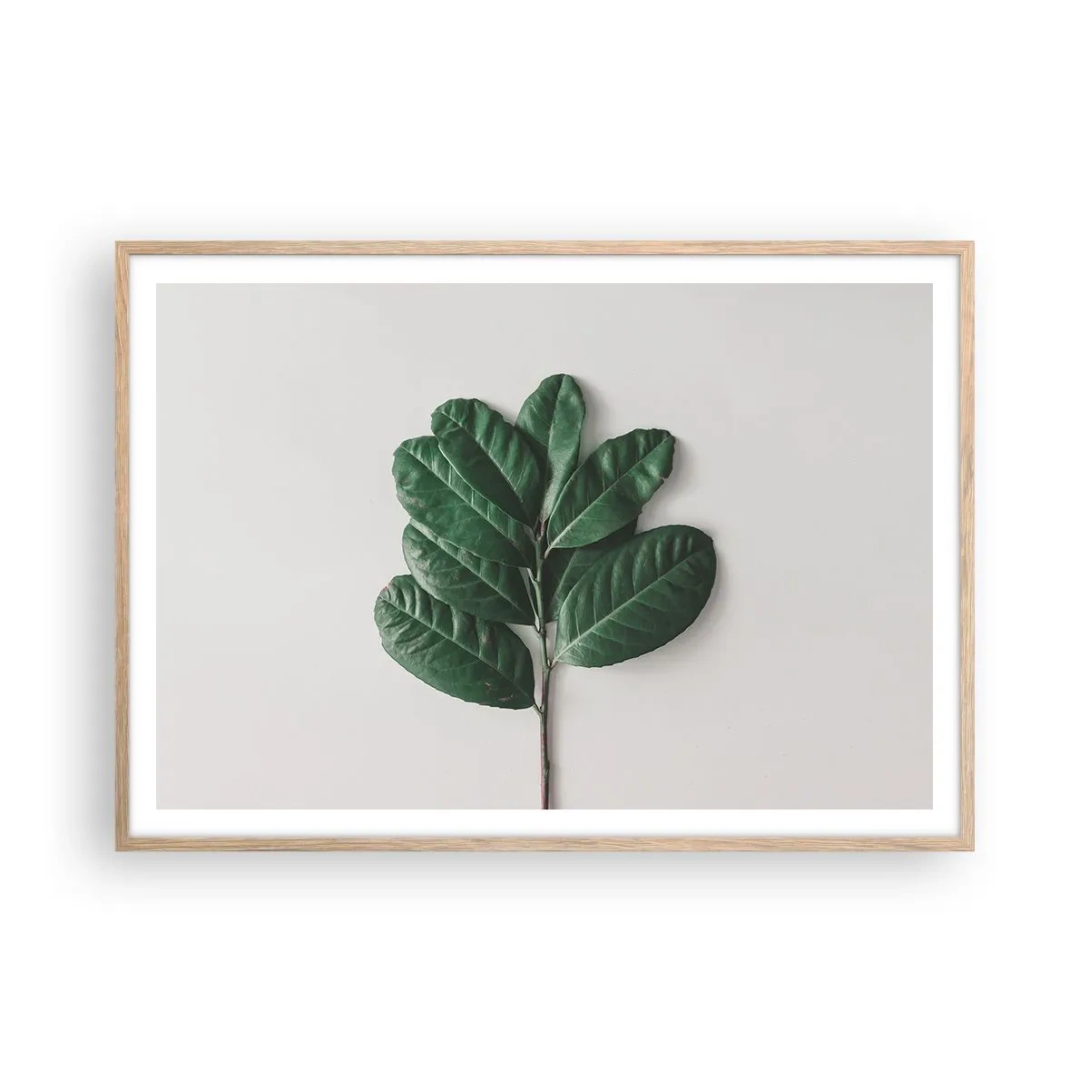 Póster en marco roble claro - El dibujo de la propia naturaleza - 100x70 cm