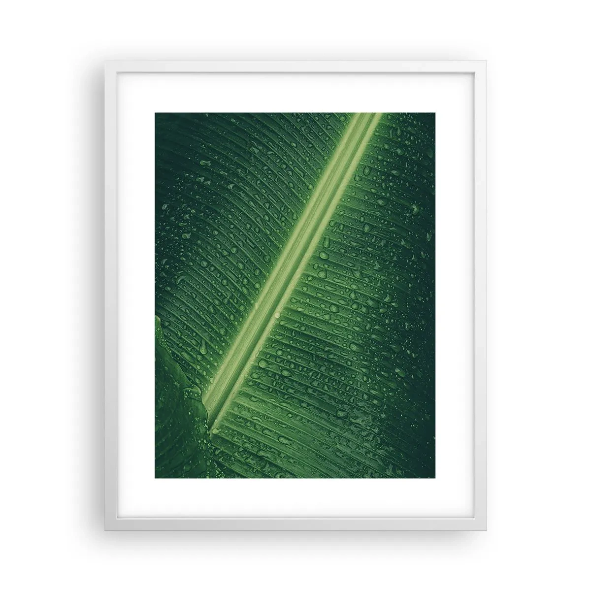 Póster en marco blanco - Estructura del verde - 40x50 cm