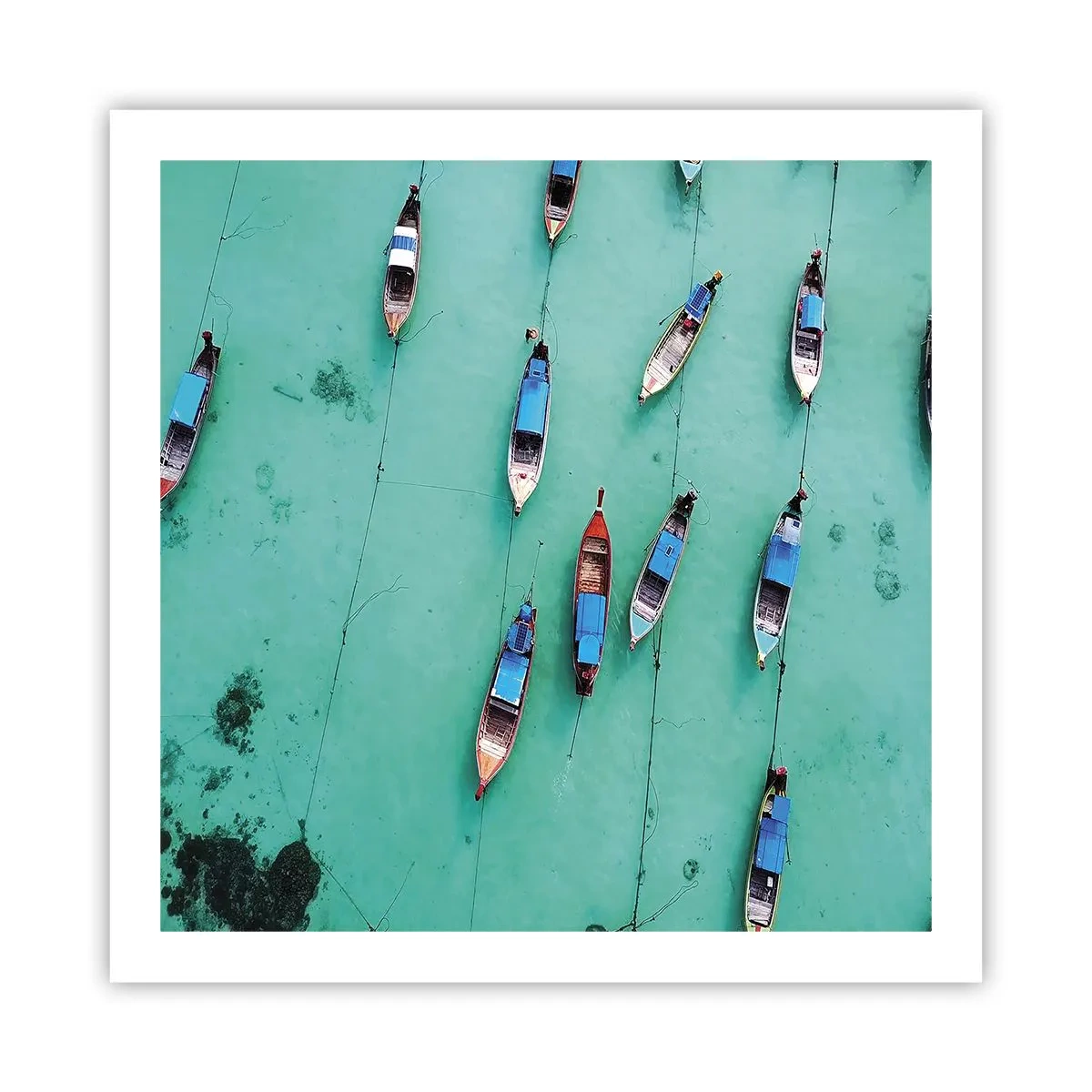 Póster - En alegre espera - 60x60 cm