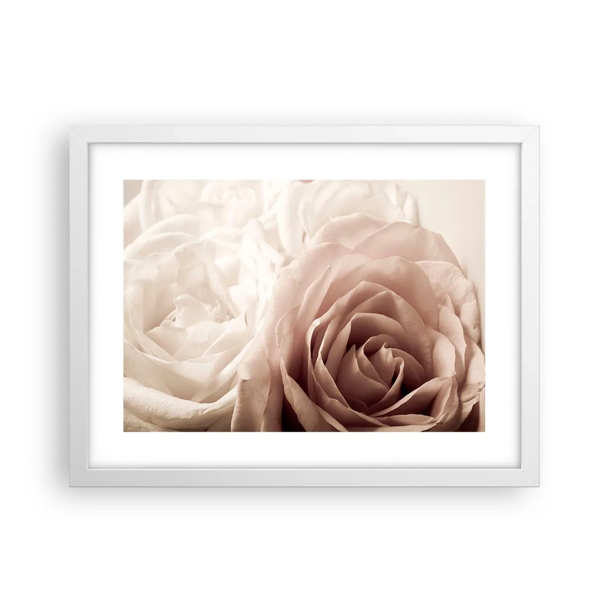 Póster en marco blanco - En el corazón de una rosa - 40x30 cm