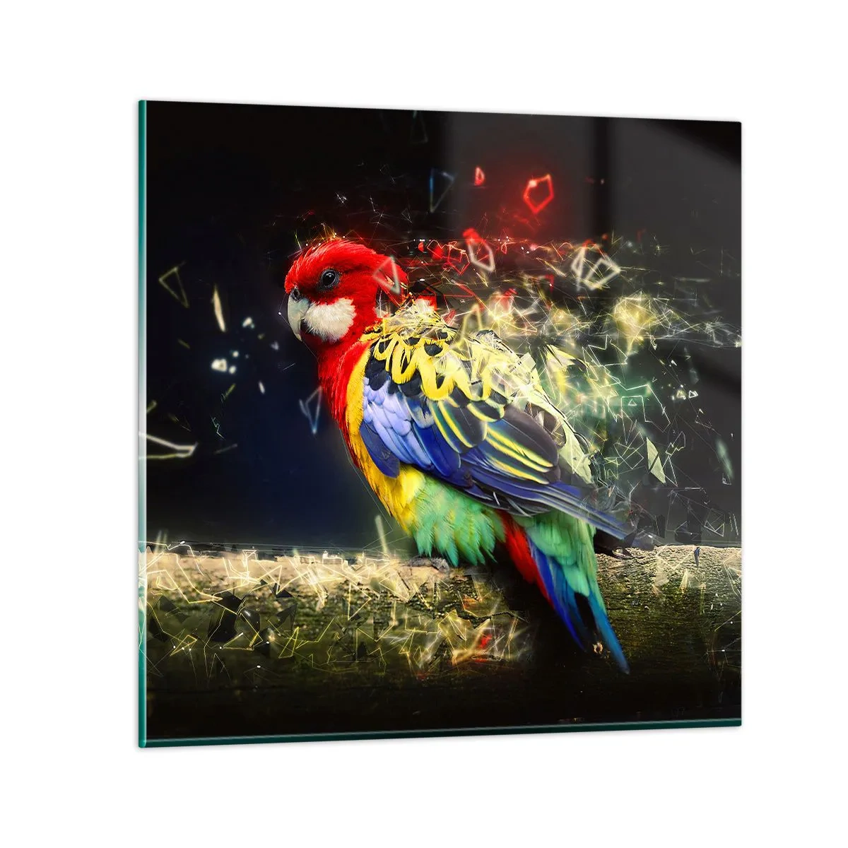 Cuadro sobre vidrio - Impresiones sobre Vidrio - Un mensajero del glamour - 70x70 cm