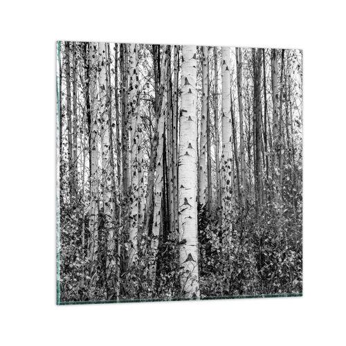 Cuadro sobre vidrio - Impresiones sobre Vidrio - Columnas de abedules - 40x40 cm
