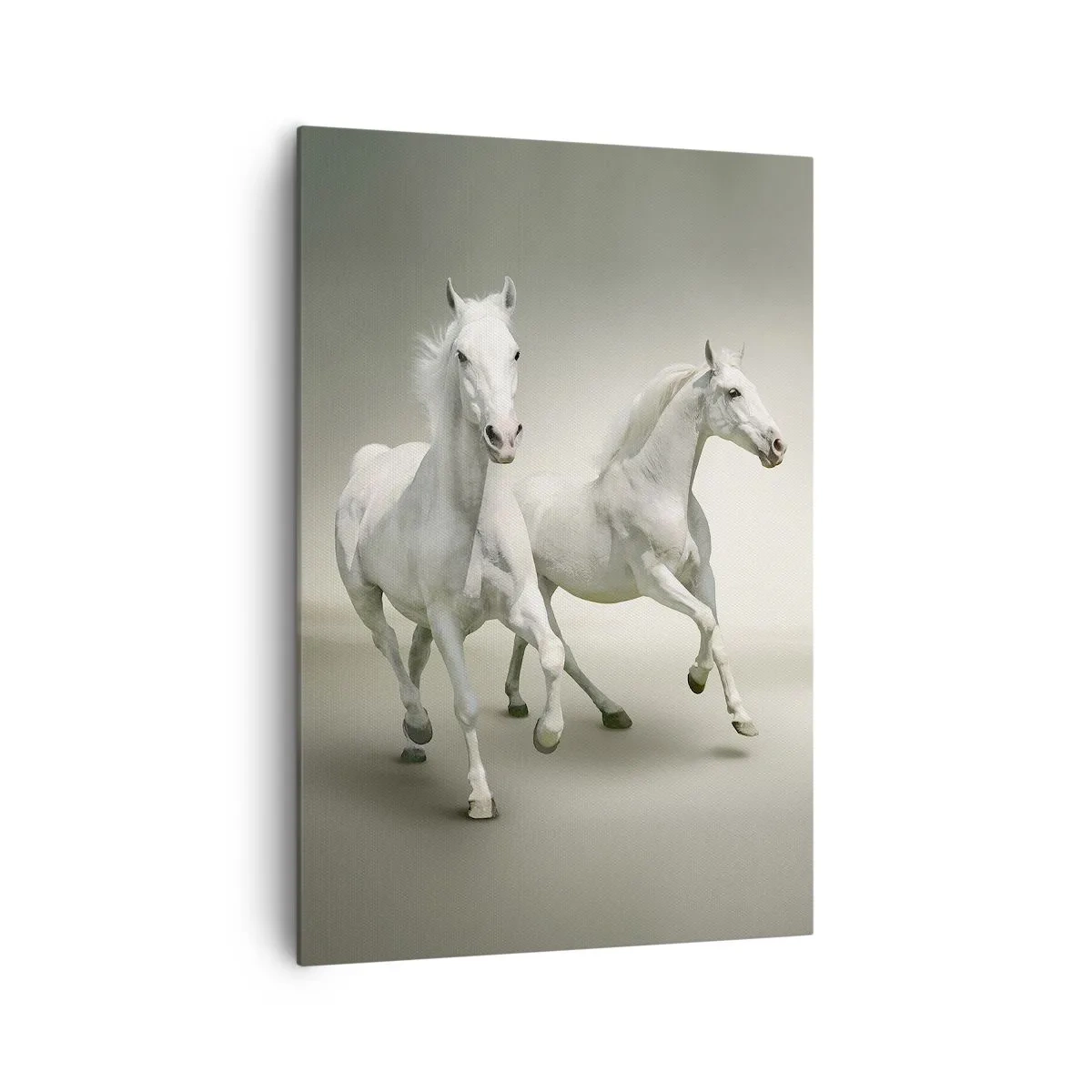 Cuadro sobre lienzo - Impresión de Imagen - Dos caballos blancos galopando sobre un fondo claro - 70x100cm - ¡Poder blanco! - Decoración de pared moderna para salón y dormitorio ARTTOR